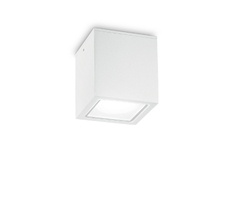 Уличный потолочный светильник TECHO TECHO PL1 BIG BIANCO_IL