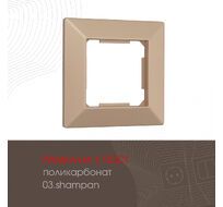 Рамка из поликарбоната на 1 пост Arte Milano 503.03-1.shampan