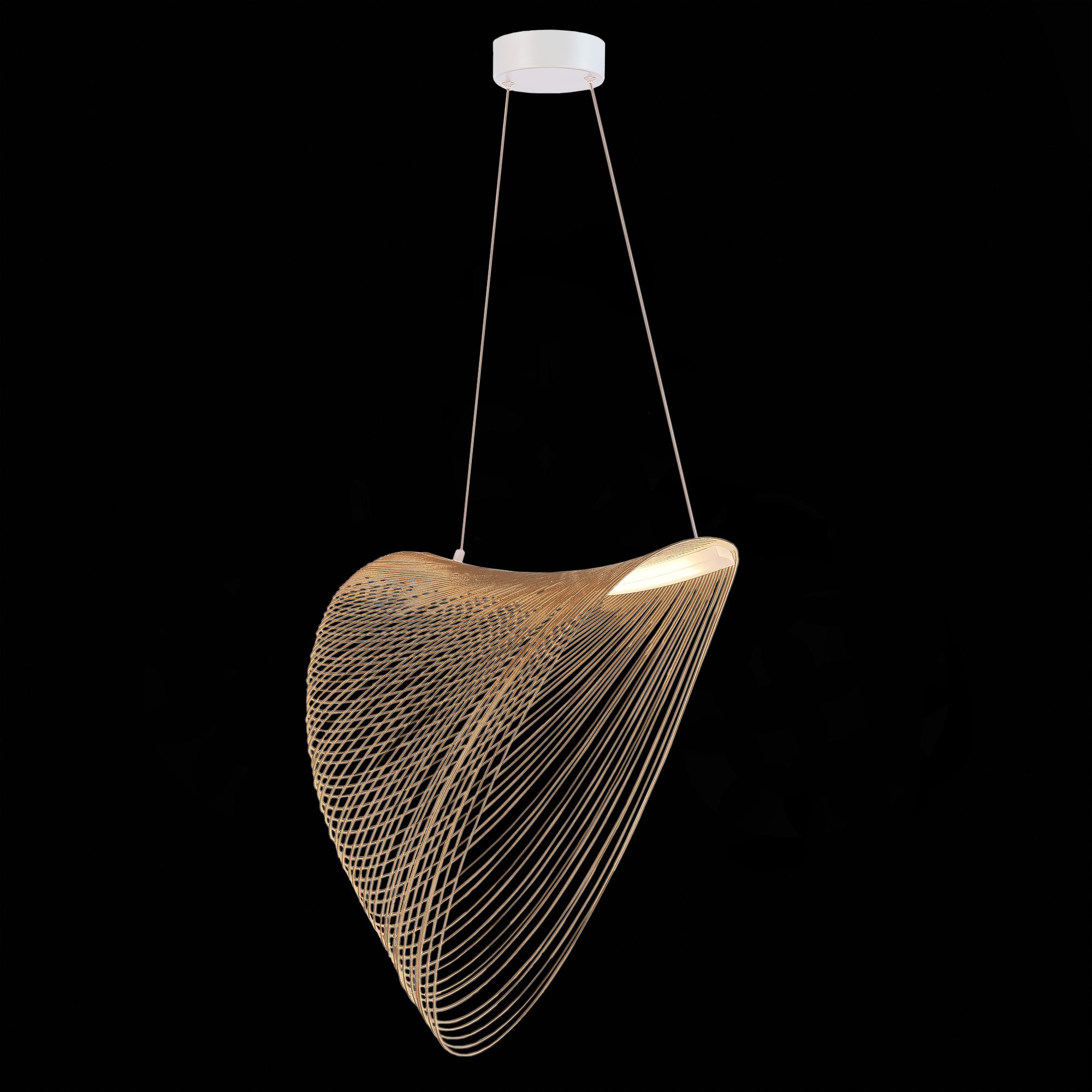 Подвесной светильник ST Luce FOSSIL SL6900.503.24
