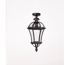 Потолочный светильник уличный IP44 Oasis Light 95205LA Bl_OL