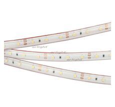 Лента Arlight RTW-PS-A60-10mm 2835 028506(2)_ARL