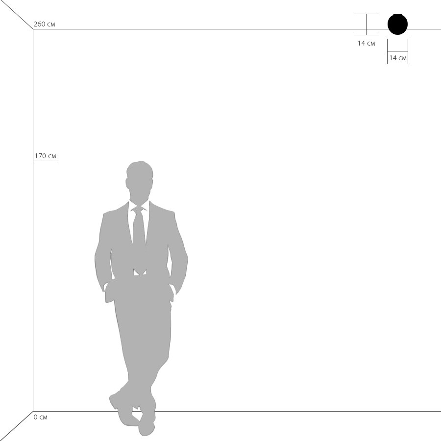 Настенно-потолочный светильник LightStar Globo 803010_LS