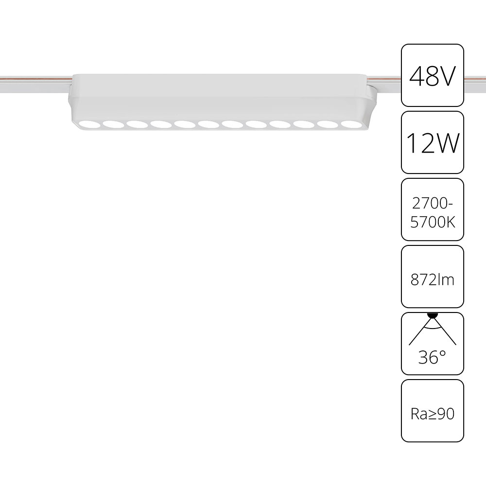 Трековый светильник Arte Lamp RAPID A2954PL-1WH