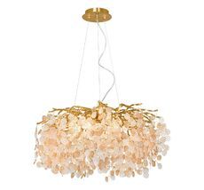 Подвесная люстра Lussole MESA LSP-8850