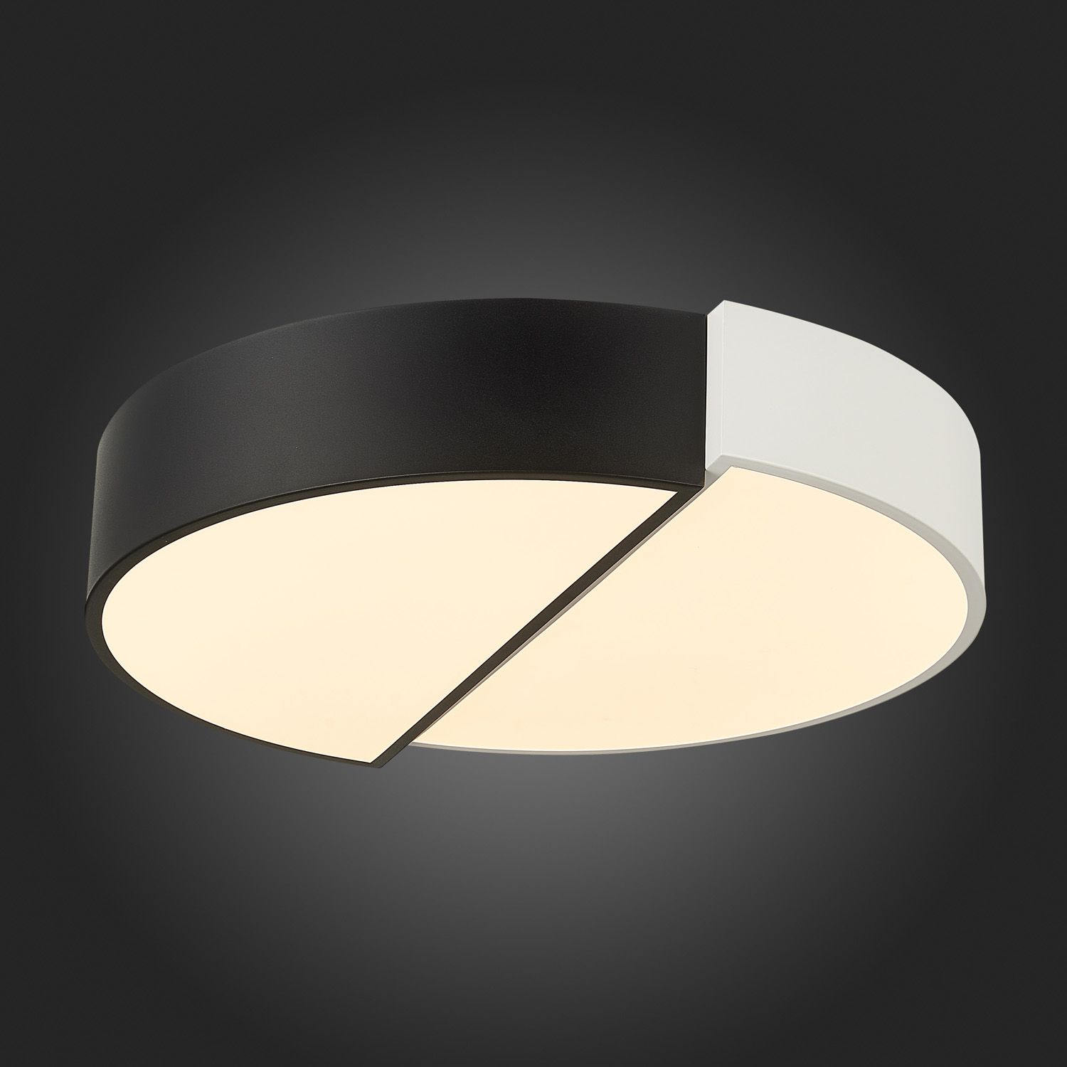 Потолочный светильник Evoluce META SLE200642-01