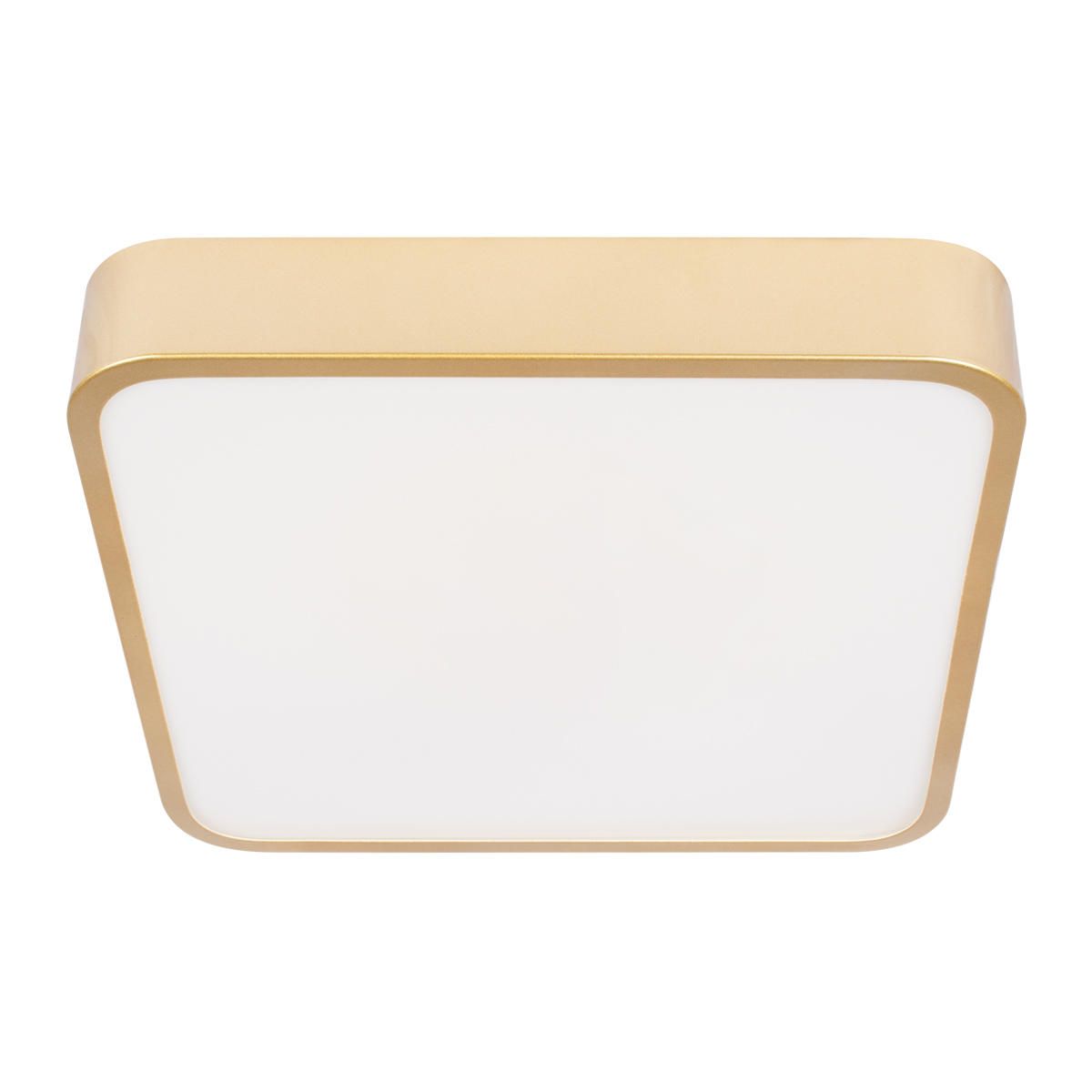 Потолочный светильник LOFT IT Flims 10228/C_LF