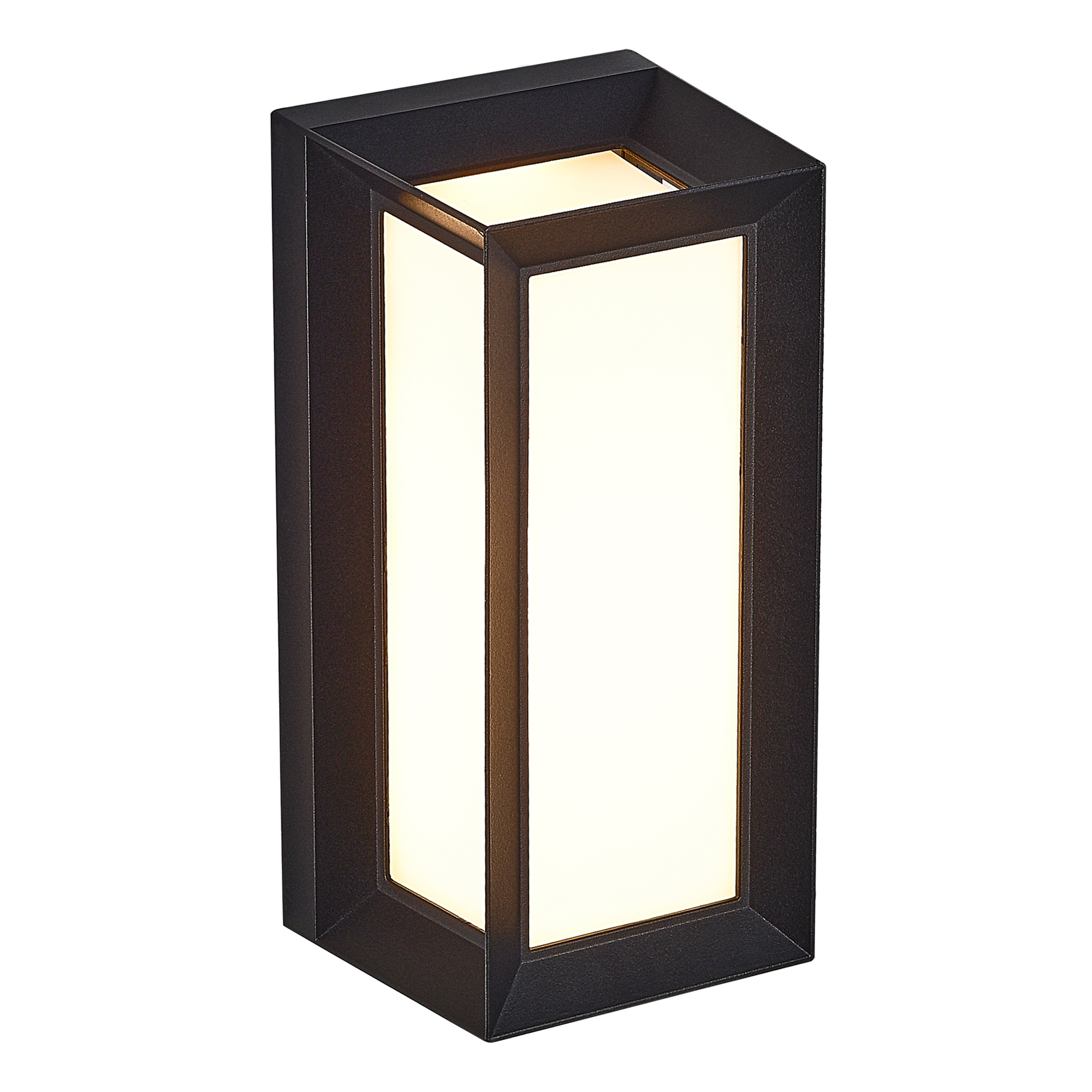 Уличный настенный светильник ST Luce COMBO SL9533.401.01