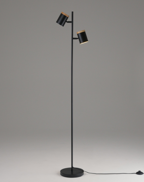 Торшер с выключателем Moderli V11287-2F_MD