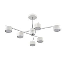 Потолочная люстра Lumion KARINA 8241/6C