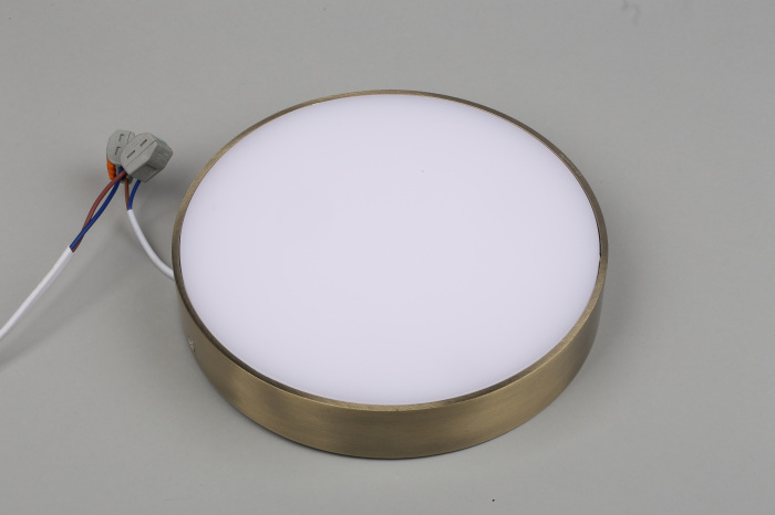 Потолочный светильник круглый светодиодный Aployt APL.0113.29.24