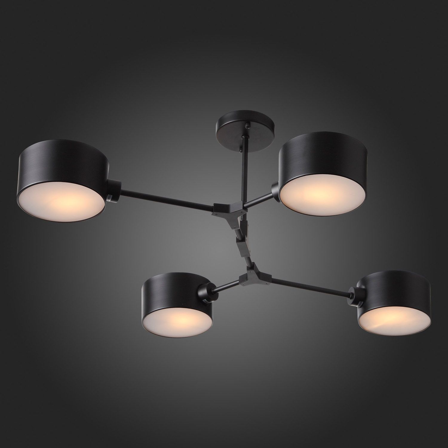 Потолочный светильник Evoluce GIMENTO SLE183402-04