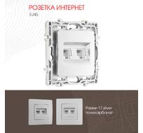 Розетка RJ45 х 2 Arte Milano 217.45-2.silver