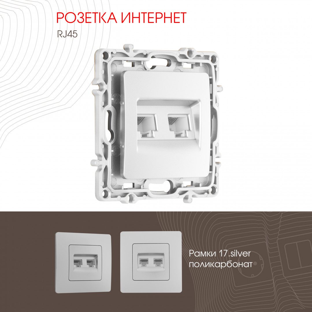 Розетка RJ45 х 2 Arte Milano 217.45-2.silver