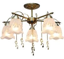 Потолочная люстра Toplight Delia TL1195X-05AB