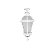 Потолочный светильник уличный IP44 Oasis Light 95205LA W_OL