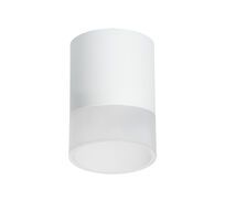 Накладной светильник LightStar Rullo R348681_LS