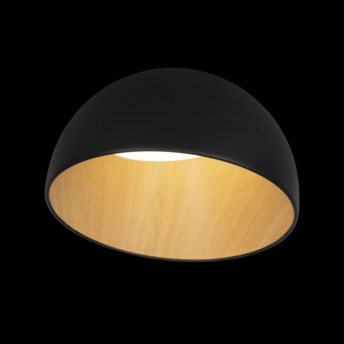 Потолочный светильник Loft IT Egg 10197/350 Black_LF