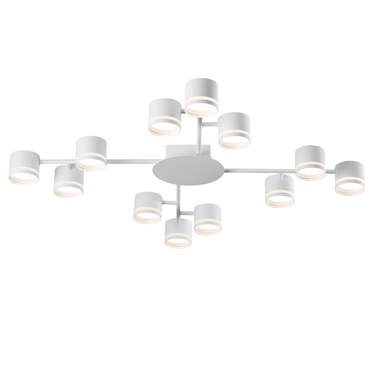 Потолочная люстра LUMION GARETA 8235/12C