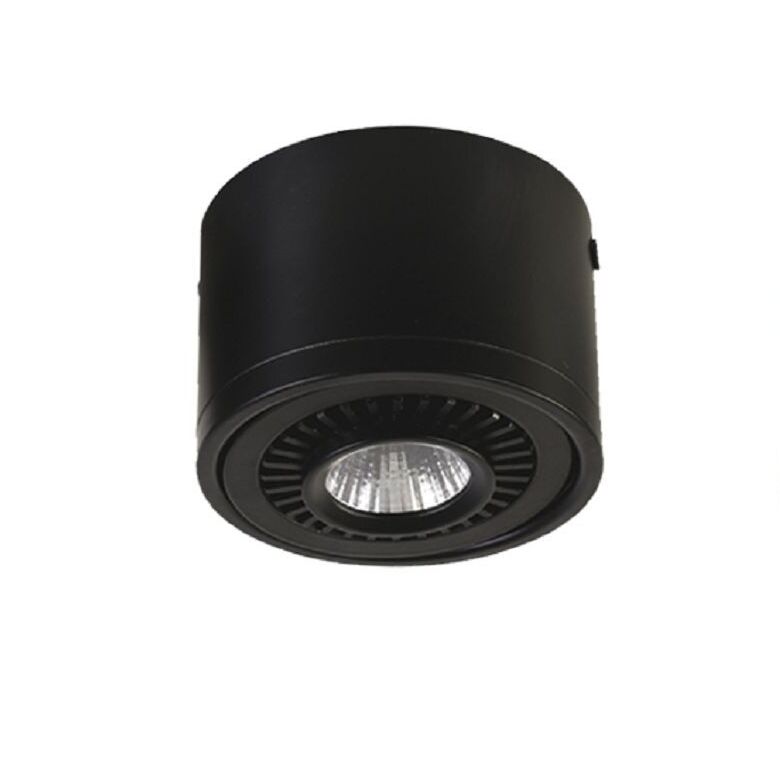 Потолочный светильник Favourite 1778-1C