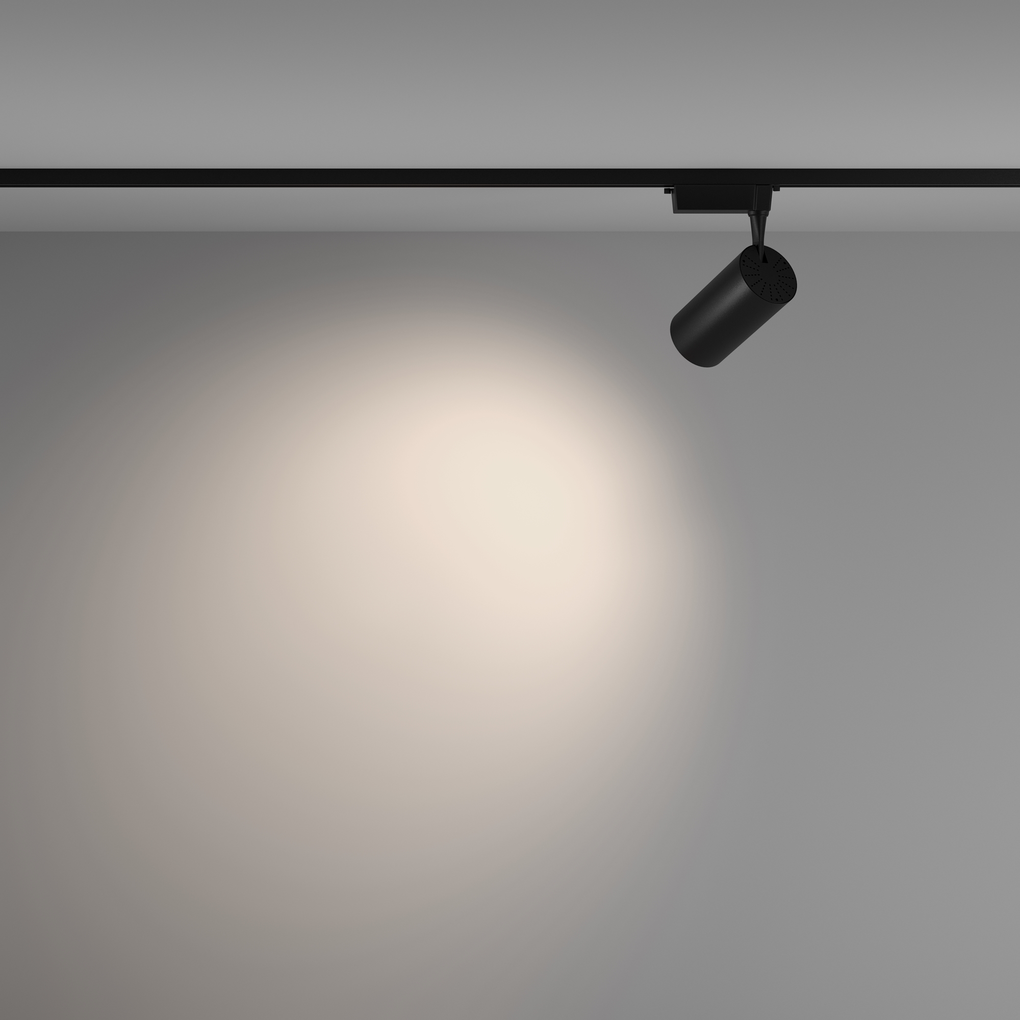 Трековый светильник Maytoni Technical Vuoro TR003-1-36W4K-W-B_MY