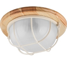 Настенно-потолочный светильник НБО 03-60-012 Feron 11570_FR