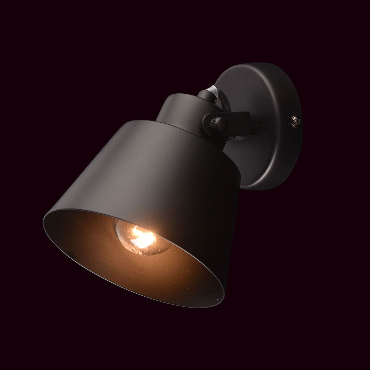 Спот MW-Light Ринген 547021201_MW