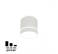 Накладной светильник CitiLux Борн CL745020N