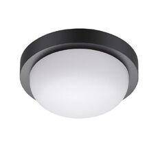 Уличный потолочный светильник Opal 358015