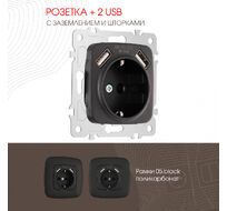 Розетка с заземлением шторками + 2 USB 16A 250V USB DC 5V 2.1A Arte Milano 205.47-1.black