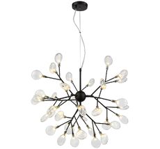 Подвесная люстра Wertmark FIORITA WE241.36.023