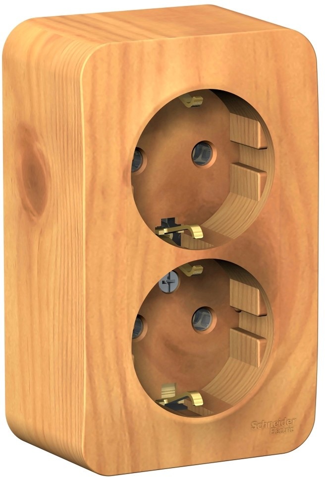 Розетка накладная двойная с заземлением (ясень) Systeme Electric BLNRA010215