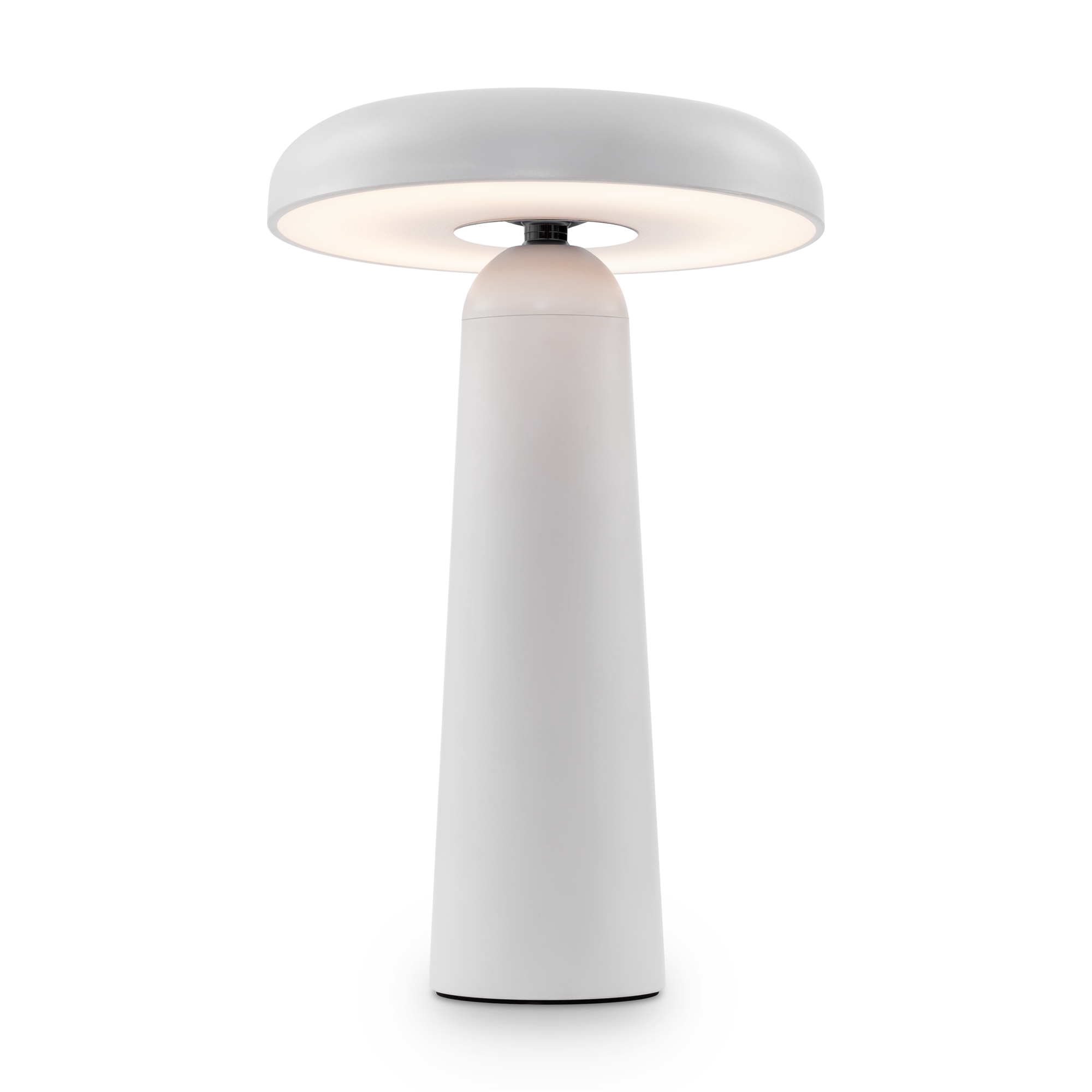 Настольная лампа гриб аккумуляторная Freya Mushroom FR6109TL-L4W_MY