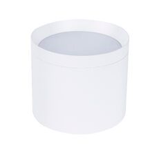 Накладной светильник Favourite Rote 4708-1C