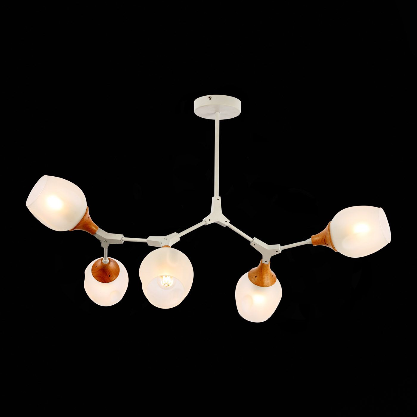 Потолочная люстра Evoluce CIOTOLLA SLE113502-05