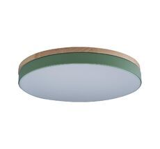 Потолочный светильник Loft IT Axel 10001/36 Green