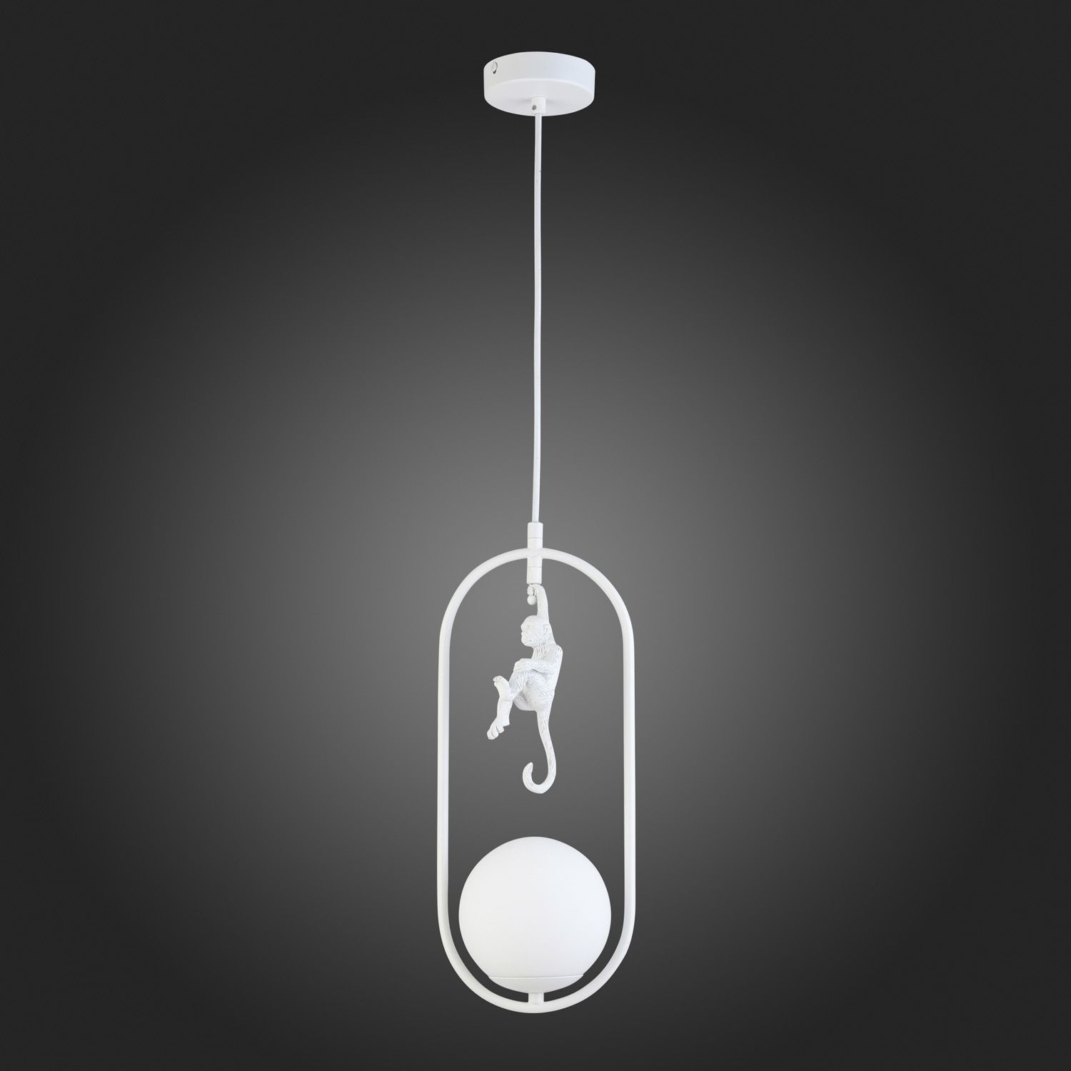 Подвесной светильник Evoluce с мартышкой TENATO SLE115123-01