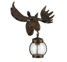 Уличный настенный светильник Hunt 1848-1W