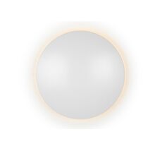 Настенный светильник ILedex Lunar ZD8102-18W WH_IX