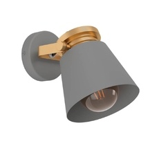 Спот Eglo TWICKEN 43835