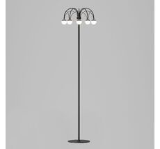 Торшер с регулировкой цветовой температуры Eurosvet Ragno a070272_EU