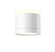 Накладной светильник Maytoni Pauline C120CL-GX53-W_MY