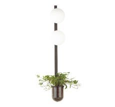 Настенный светильник Odeon Light FLOWER 4681/2WA