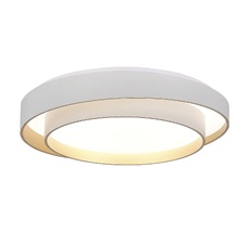 Потолочный светильник EVOLUCE CROSBY SLE6009-502-01