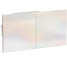 Розетка встраиваемая двойная с заземлением, шторками и крышкой (жемчужный) Systeme Electric ATN000428