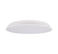 Потолочный светильник LOFT IT Brim 10226 White_LF