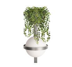 Настенный светильник Loft IT Jardin 10121W/B Dark grey_LF