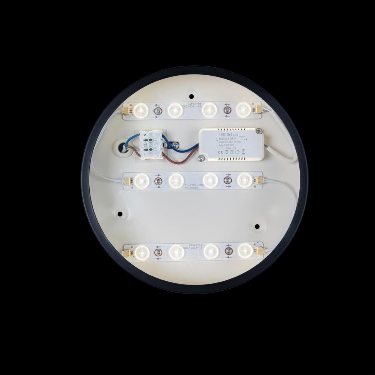 Потолочный светильник Loft IT Axel 10002/12 Black_LF