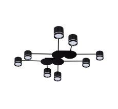 Потолочный светильник Arte Lamp LEGACY A8024PL-8BK