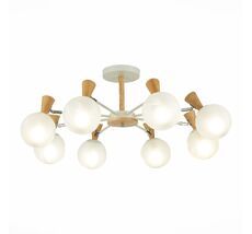 Потолочная люстра Evoluce CATANIA SLE220702-08