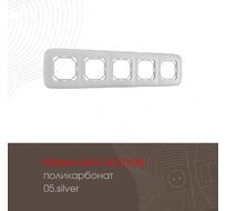 Рамка из поликарбоната на 5 постов Arte Milano 505.05-5.silver